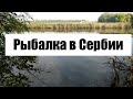 РЫБАЛКА В СЕРБИИ