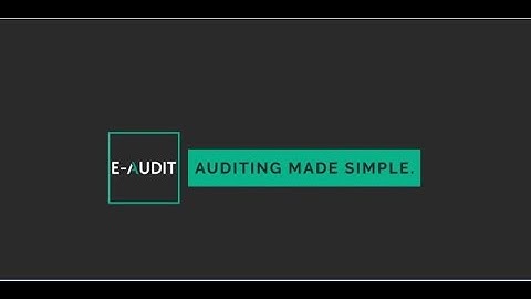 Introducing E-Audit