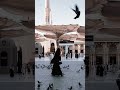 #madinahalmunawwarah ka khubsurat nazara #madina #post #editing #video ##vairal #tanning