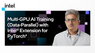 Multi-GPU AI Training (Data-Parallel) with Intel® Extension for PyTorch* | Intel Software