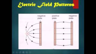 Celebrity Chapter 14 Static Electricity Part 5 - Electric Field Patterns Net Worth