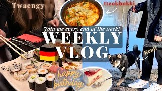 Daily Life in Germany - Birthday sushi buffet 🍱 cooking tteokbokki, glasses shopping, Shiba Inu|VLOG