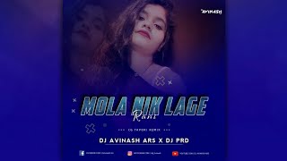 Mola Nik Lage Rani Dj Song | Remix | Dj Avinash Ars x Dj Prd 2021 | DJ RAJA RAJIM #36Garh #UT #Track