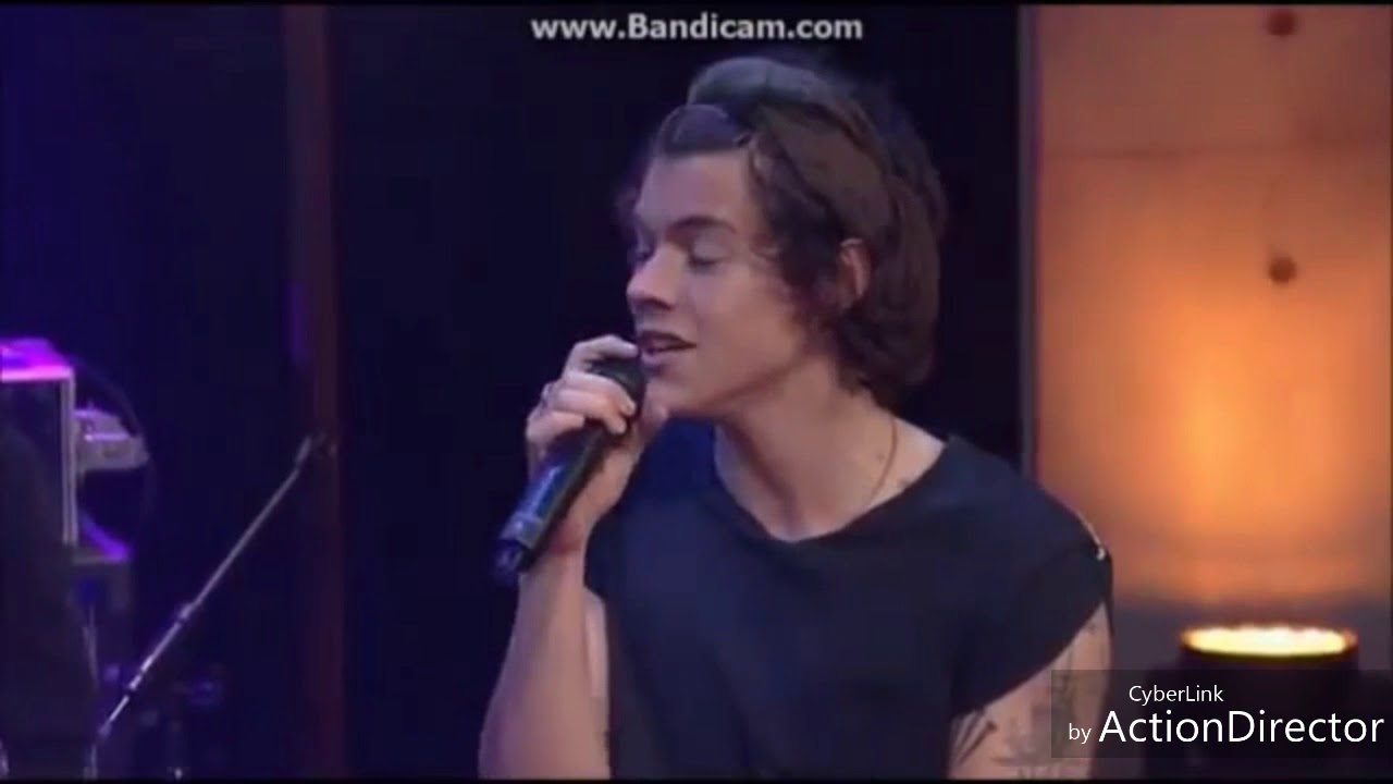 Larry Stylinson IS NOT REAL |1D Day Little Things |Zarry proof