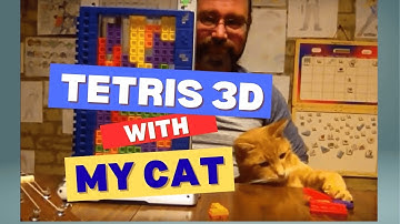 This Cat WANTS to Play! | Tetris Tower 3D & Ukulele Theme Song