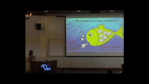 Katlin Bowman - Mercury in the Ocean