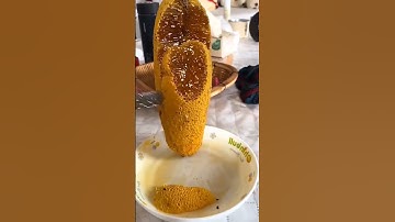 Oddly Satisfying Honeycomb Uncapping | ASMR Honeycomb | #shorts