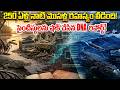 250 Years Mystery Finally Solved! | అంతరించిపోయిన మొసళ్ల రహస్యం బయటపడింది - Prime9 Digital