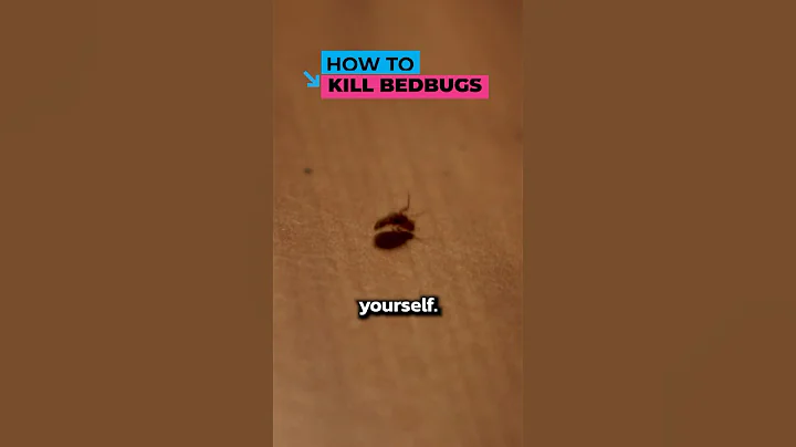 How to Kill Bedbugs at Home