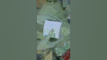 Plain Jumbo #oddlysatisfying #youtube