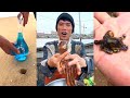 Fishermen eating seafood dinners are too delicious 666 help you stir-fry seafood to broadcast live45