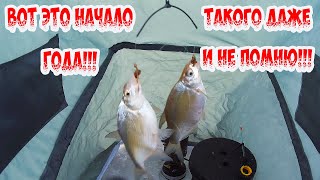 ДУПЛЕТ ПОДЛЕЩИКОВ! ТАЩУ СРАЗУ С ДВУХ ЛУНОК! РЫБАЧУ В САНИ-ПАЛАТКЕ! С НОВЫМ 2025 ГОДОМ! РЫБАЛКА 2025!