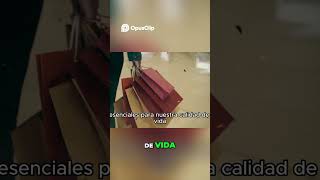 Desapego Material La Clave Estoica para la Felicidad Verdadera