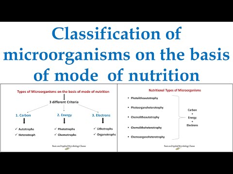 Classification of microorganisms on the basis of mode of nutrition I Nutritional types of microbes I