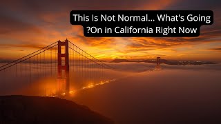 Something Strange Is Happening in California... And Nobody Can Explain It