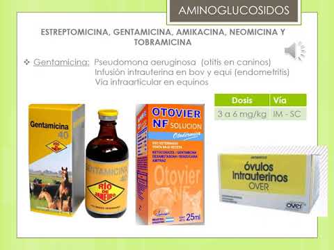 Video: Tetraciclina - Lista De Medicamentos Y Recetas Para Mascotas, Perros Y Gatos