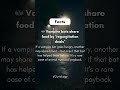 Vampire Bats That Share Blood Wild Animal Behavior Explained Vampire Bats That Share Blood Wild Animal Behavior Explained