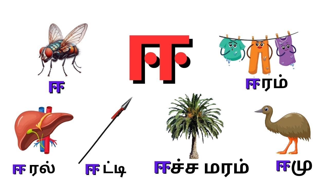 ஈ வரிசை சொற்கள்|ee varisai sorkal in Tamil|ஈ சொற்கள்|உயிர் எழுத்துக்கள் ...