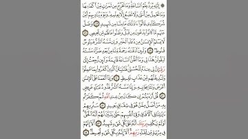 خواتيم سورة فصلت💜💜 ،عبدالله عمرو