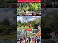 Delhi University campus 😍 #shorts #youtubeshorts #viral #delhiuniversity #bestcollege