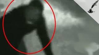 5 Mysterious Creatures Caught On Camera