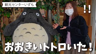 【女子レポ】みんな大好きジブリキャラクターグッズをご紹介します！