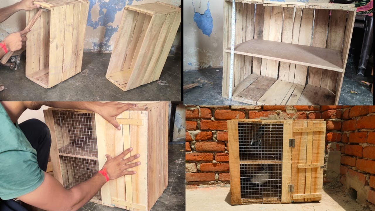 बिल्ली भी नहीं तोड़ पाएगी इस पेटी को || HOW TO MAKE PIGEON HOUSE 🏠 || BIRDS COMPANION