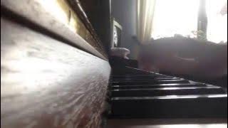 Ruelle - Live Like Legends piano cover ( sheet music)