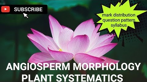 ANGIOSPERM MORPHOLOGY | PLANT SYSTEMATICS| SYLLABUS |QUESTION PATTERN|MARK DISTRIBUTION #bscbotany