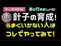 メダカの針子の育成がうまくいかない人は見てください！　針子から稚魚育成がうまくいかないというあなたへ贈る動画です。　バケツ飼育　稚魚育成のコツ　@rakumedaka