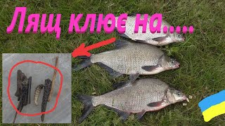 На що клює ЛЯЩ # Забута наживка #РибачуЯкУмію