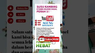 susu kambing etawa murni ponorogo