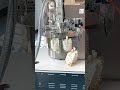 Fully Automatic Spouted Pouch Filling and Capping Machine — 6,000 to 9,000 Pouches Per Hour.
