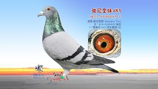 提奧.維切恩斯B21-5000483