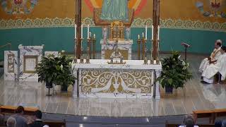 Sunday Holy Mass:  Weekend of July 5, 2026 at 9 am St. Michael Catholic Church - St. Michael, MN