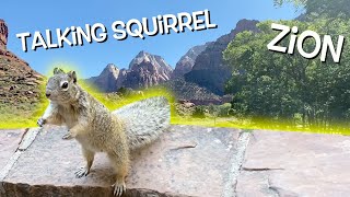 WE FOUND A TALKING SQUIRREL IN ZION! screenshot 4