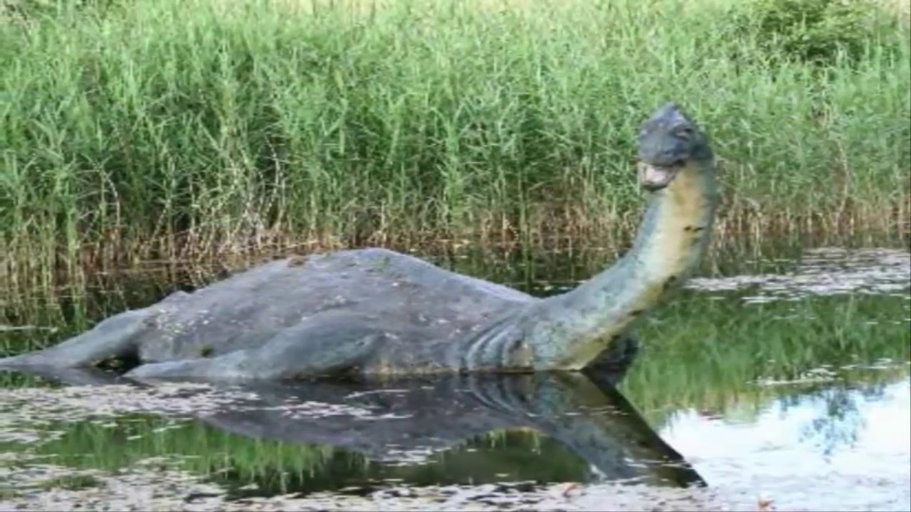 PENAMPAKAN SATU SATUNYA DINOSAURUS YANG  MASIH  HIDUP  DI 