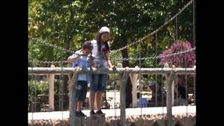 Cemi̇le Doğum Günü 2012