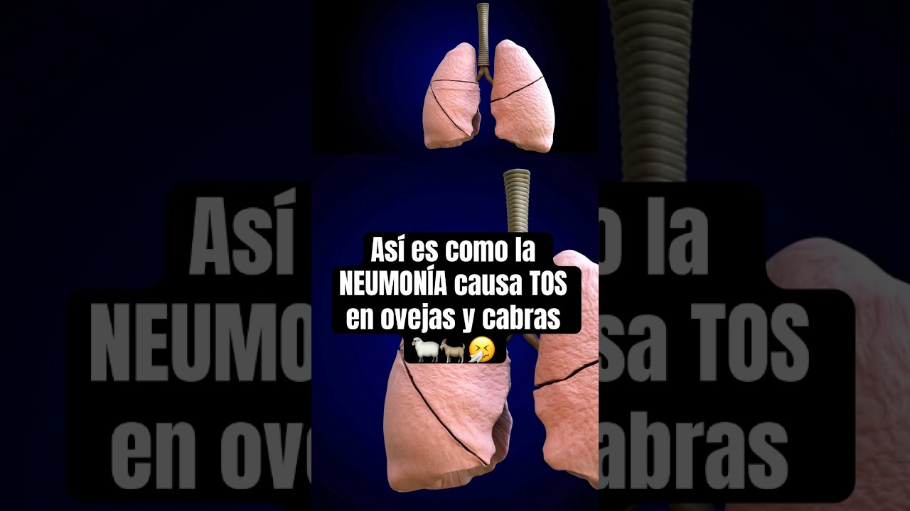 Síguenos para más contenido de 