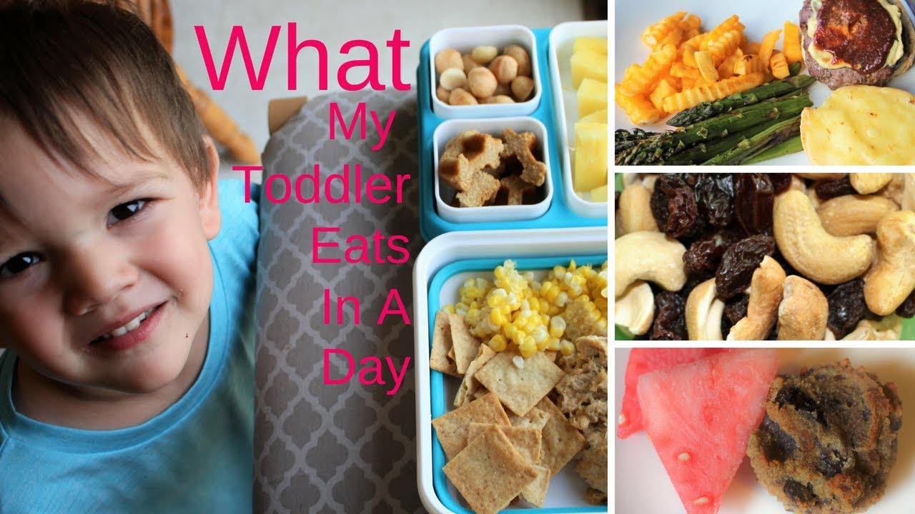 What My Toddler Eats In a Day - YouTube