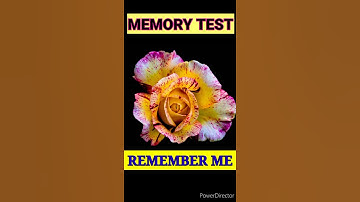 MEMORY TEST 12 - Riddles and Puzzles for IQ Test | Hindi Paheli #shorts #shortvideo #viral