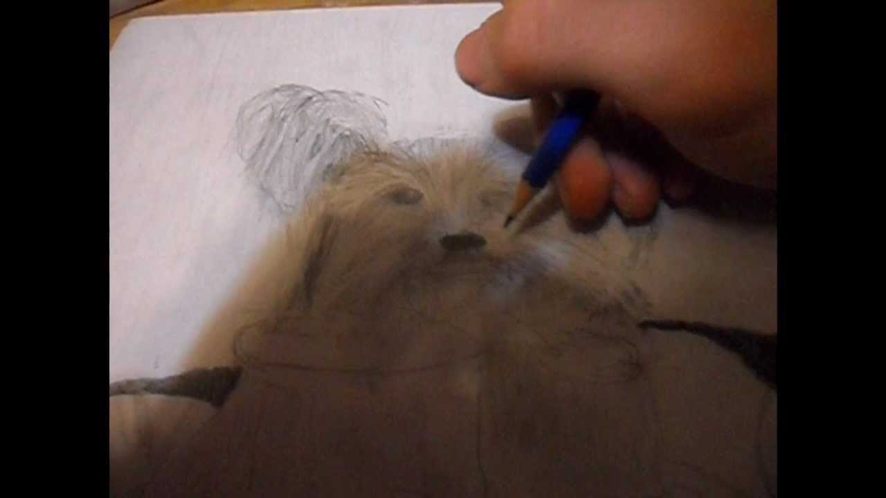 The drawing of Chloe for 196913012 by flair363