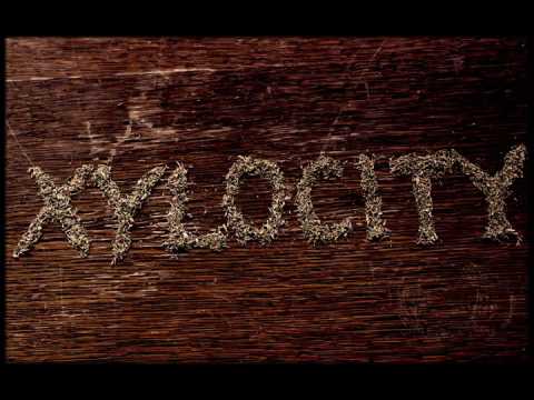 Zuricha - Xylocity Teaser (10/7/16)