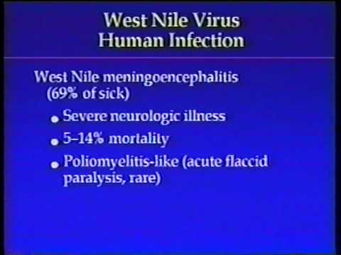 Video: West Nile Virus - Daglig Veterinär