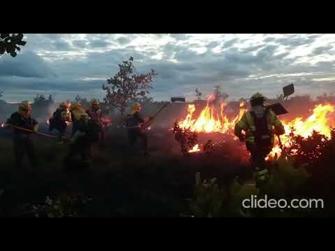 Incendio forestal en El Tuparro: Ejército Nacional apoya labores de extinción y control