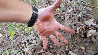 Rabbit Snaring 101 - Wire Survival Snares 