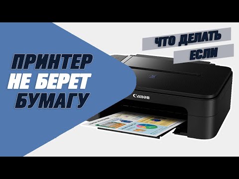 Принтер не берет бумагу. Что делать?