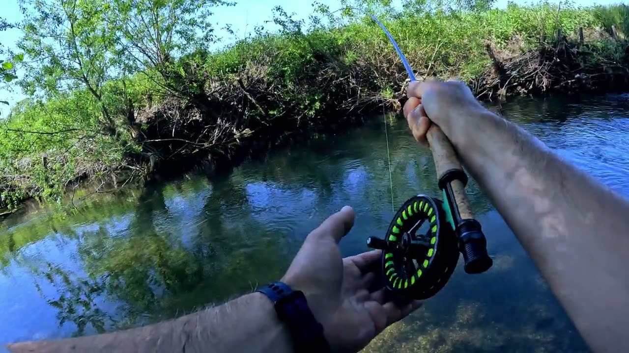 Euro Nymphing Mlava River \ Musicarenje reka Mlava