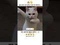 #kamchor bne rahiye.. #cute #cat #funny #comedy #memes #jokes #viral #shorts #subscribemychannel