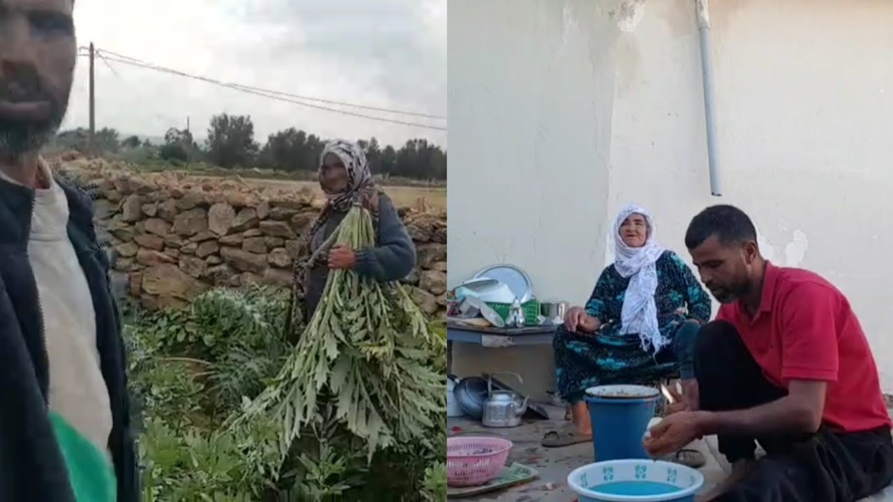 فطورنا من فدان أمي خرجت بقرتها🐄 ومزين جلسة وخير ربي في كل مكان